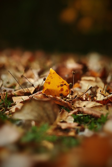 哥媒：迪亚斯因低薪与红军续约失败，将寻求离队.